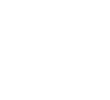 escudo icon